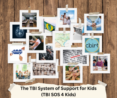 A collage of images representing the TBI SOS project. 